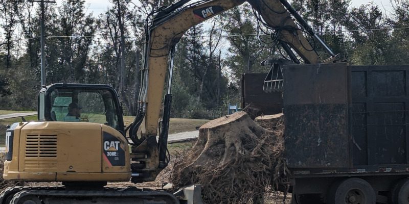Services in Vernon, Florida