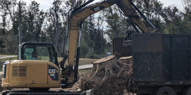 Services in Sunny Hills, Florida